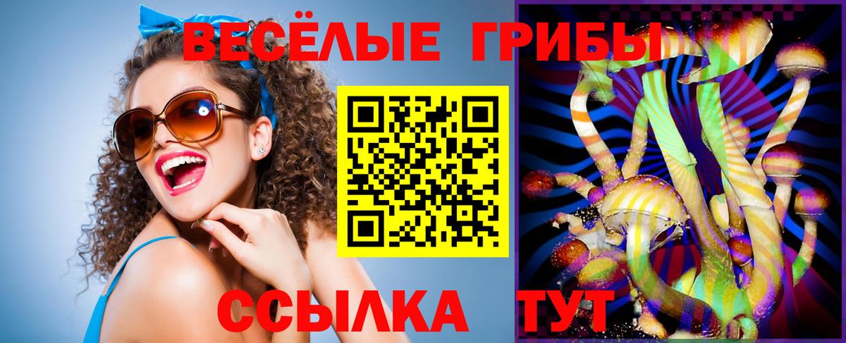 Галлюциногенные грибы Psilocybine cubensis  Вход с VPN  купить   Ржев 